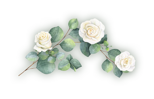 planta decorativa
