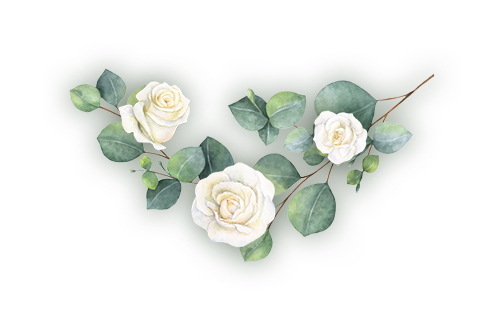 planta decorativa