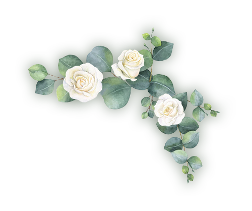 planta decorativa