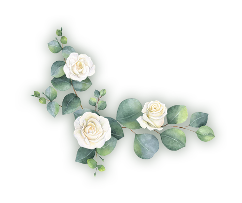 planta decorativa