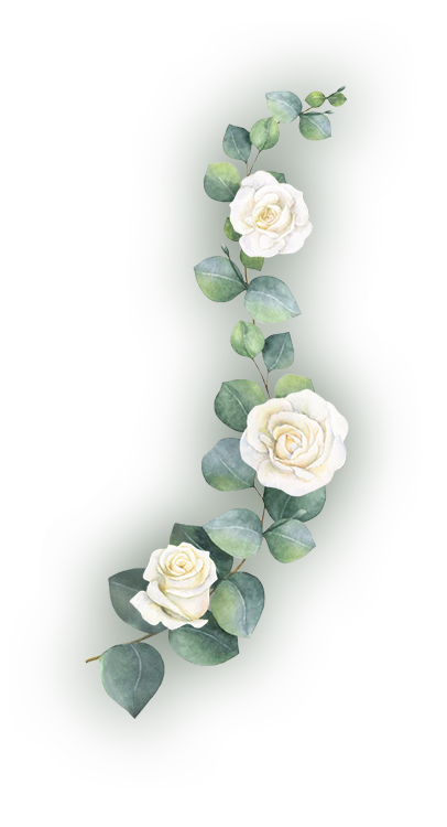 planta decorativa