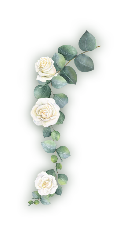 planta decorativa